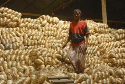 比印度更甚 孟加拉国为何陷入贫困与混乱的泥沼？