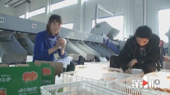 重庆农产品加工业定了个“小目标” 3年增加1000亿元产值