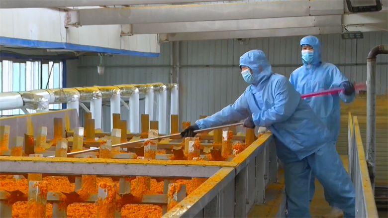 张掖市人民政府推动农产品加工业高质量发展，助力乡村振兴