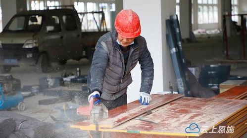 鹤峰农产品加工园一期预计农历新年前投入使用，助力农业产业升级