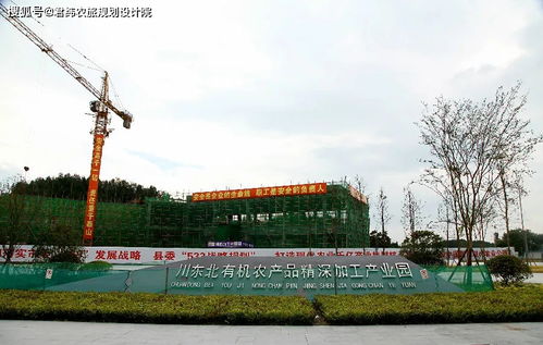 地摊抢布局，农产品加工业驶入发展快车道