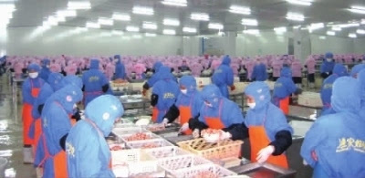 精耕细作，绘就湖南农产品加工业新蓝图