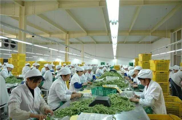 农产品加工 3大政策扶持，6大项目隐藏千万商机！