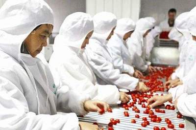 中国农产品加工水平 8年后能否赶上发达国家？