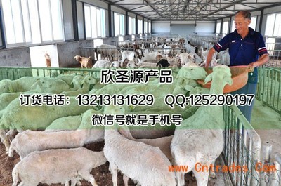 豆粕喂羊的注意事项与方法