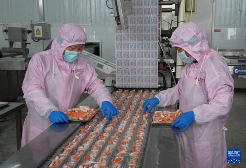 河北昌黎农产品深加工 乡村振兴的新引擎